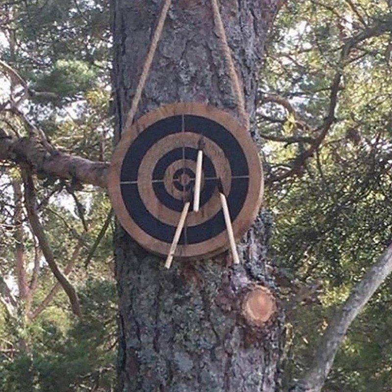 Viking Axe Throwing Game Set Wooden Dart and Axe Toy Game for Parties Throwing Hatchet Game for Indoor Outdoor
