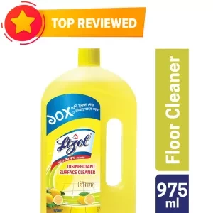 Lizol Disinfectant Floor & Surface Cleaner 975ml Citrus, Kills 99.9% Germs